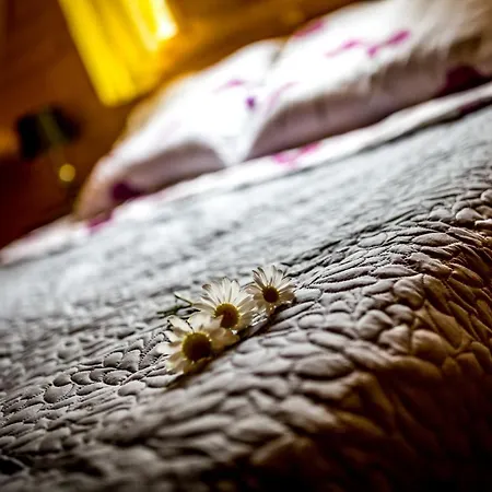 Zastan Międzywodzie