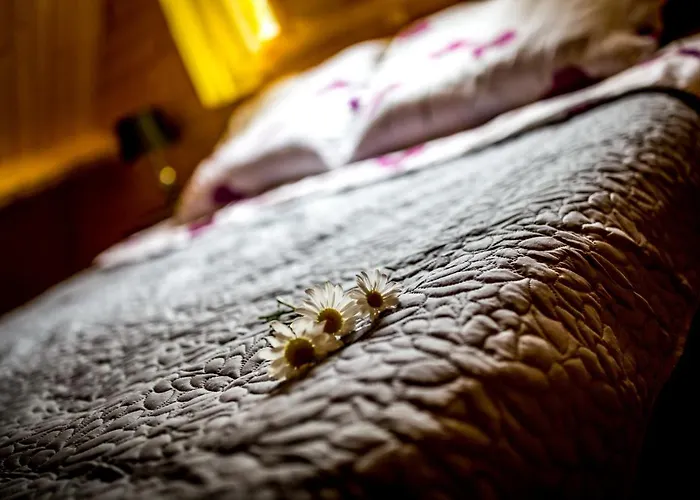 Zastan Мендзыводзе