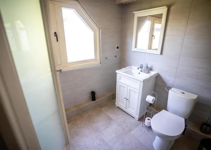 Zastan Мендзыводзе